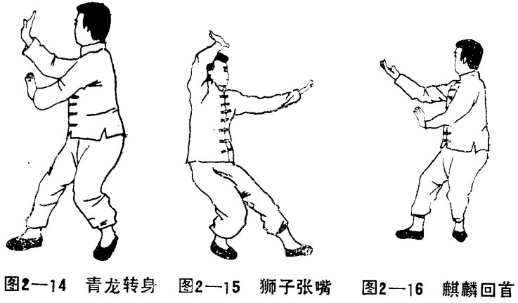 道家功法仙道八卦拳