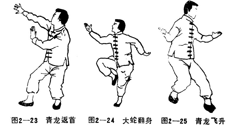 道家功法:仙道八卦拳