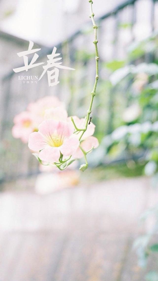 "出自明代《增广贤文》 下面是小编收集的唯美的立春图片,当做新一年