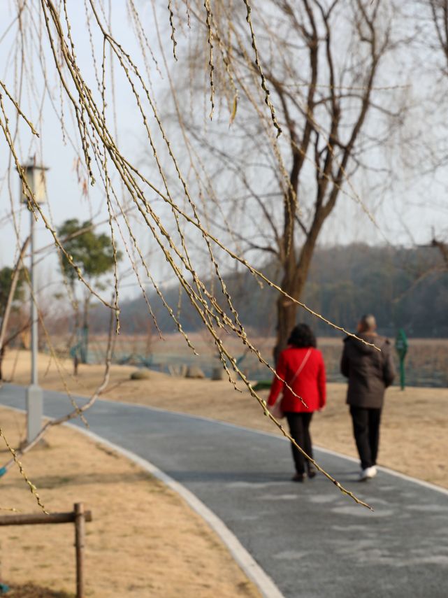 江滩春早,锻炼的人们跑过草地冬未走,春已来.