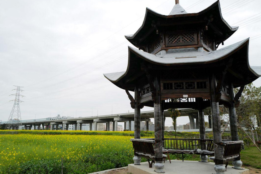 乐清柳市经济总量_乐清柳市精雅家居服(3)