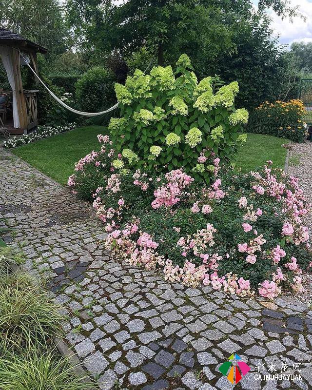 小庭院植物景观设计——如何营造可实施的小庭院植物景观?