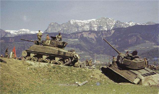 东德gdp_东德牧羊犬(2)