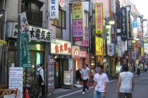 巴西日裔人口_巴西人口分布图(3)