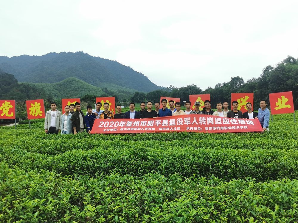 贺州市昭平县2020年gdp_贺州市昭平县黄俊(2)