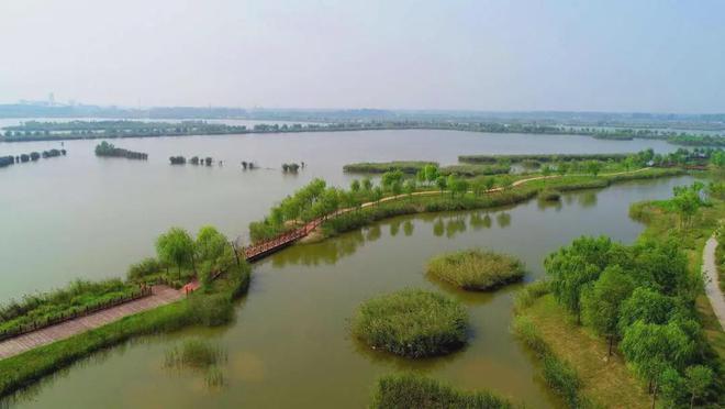 安国湖湿地公园 ▲在大沙河,潘安湖,九里湖栖息的鸟儿 湿地保护
