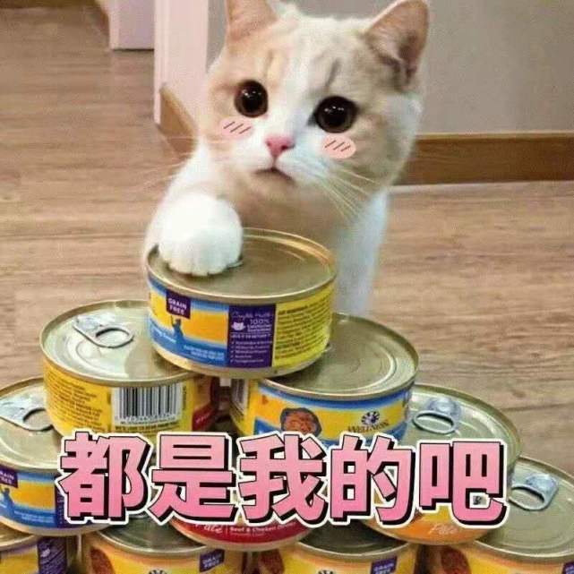 可爱猫猫表情包