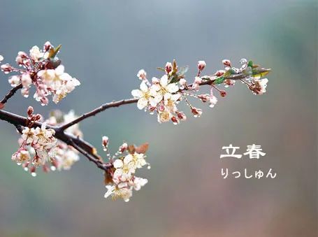 立春:春阳升动,万物复苏
