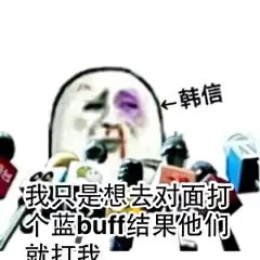 王者荣耀搞笑表情包我凭勇气开的团为什么说我瞎带节奏