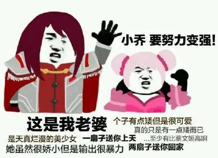 王者荣耀搞笑表情包,"我凭勇气开的团,为什么说我瞎带