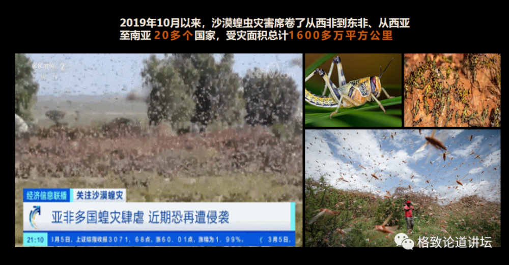 年10月发生的沙漠蝗虫为例,它从西非到东非再到亚洲总共20多个国家