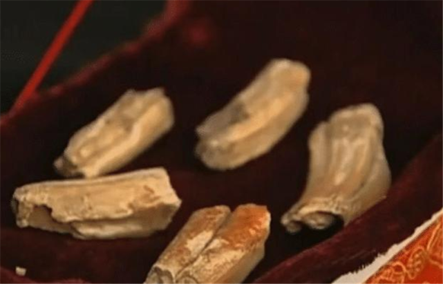 辽宁八旬老汉带龙骨去博物馆,称9岁见过真龙,专家:假的!