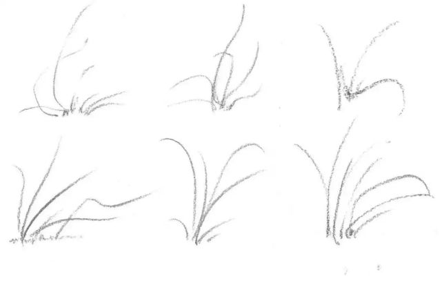 零基础速写教程:分步骤讲解山石草木画法,学会几分钟一幅画!