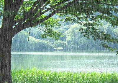 细雨绵绵的心情说说