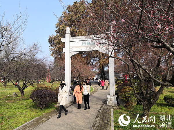 2月3日,2021武汉东湖梅花节在东湖梅园开幕.
