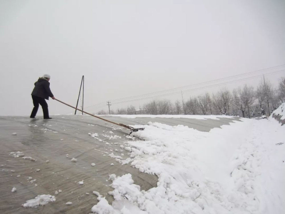 对于大棚上的积雪,要尽快扫除,但是这扫雪可不是一件简单事,不论是