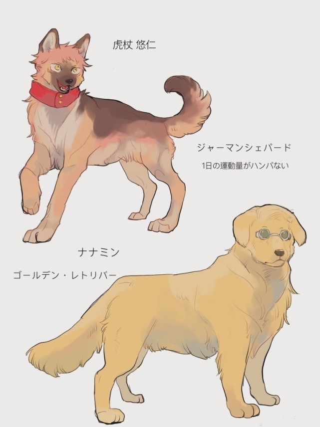 咒术回战全员拟兽化,顺平边牧小天使,犬化身高排行