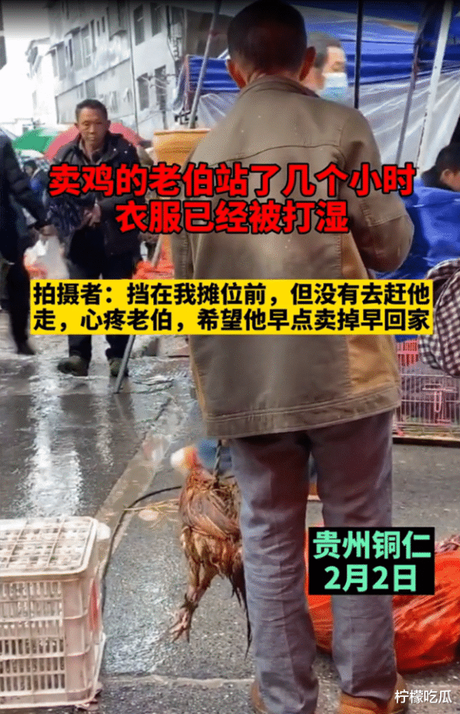 贵州铜仁:老伯在雨中卖鸡,一站就是几个小时,"鸡比人落魄"