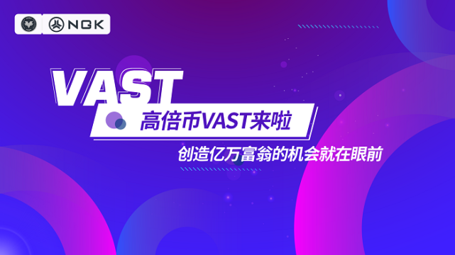 vast维萨币VAST