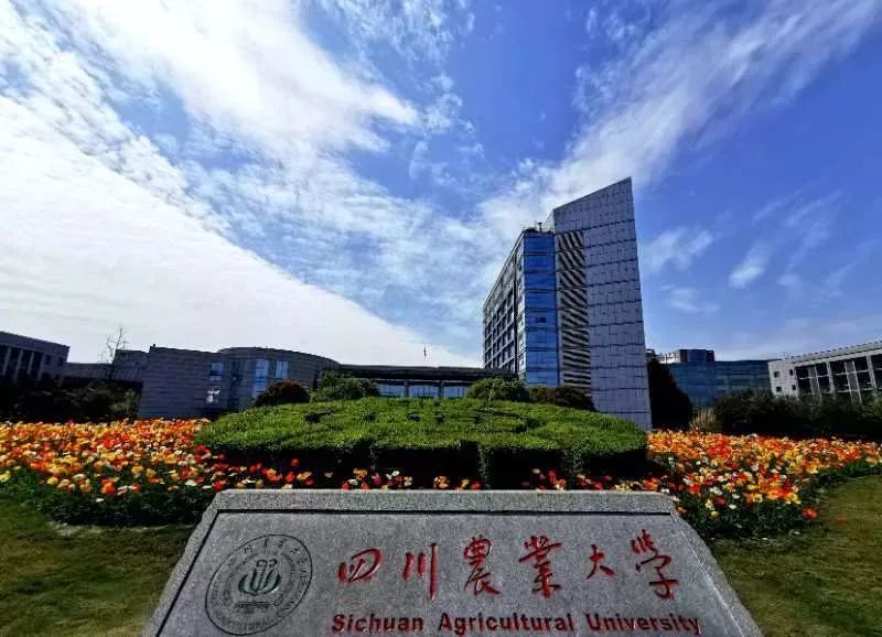 天津市