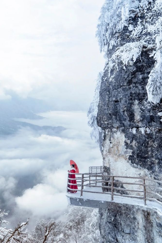 春赏杜鹃夏避暑秋观彩林冬玩雪秦巴第一峰,秘境龙头山祝您辛丑年龙马