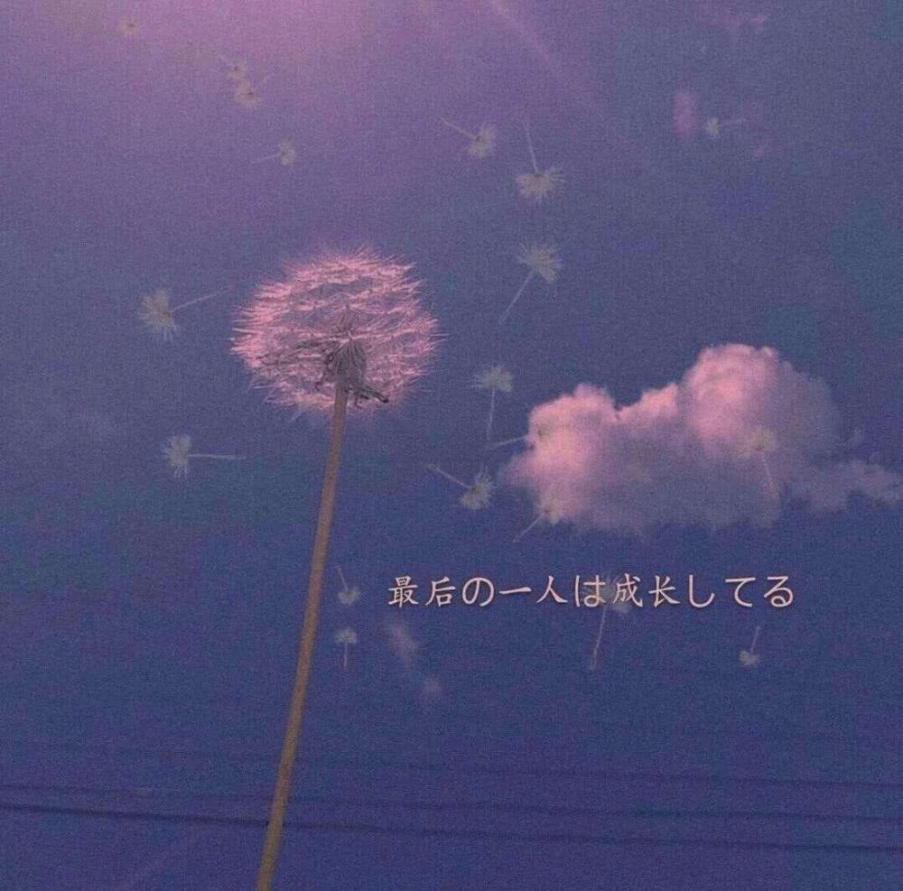 很温暖很阳光的文案