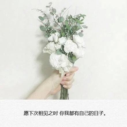 早已看透世俗的文案