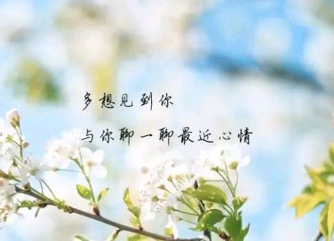 2021的说说发朋友圈,2021配图发朋友圈 2021最流行的唯美句子,句句走心,发朋友圈超赞