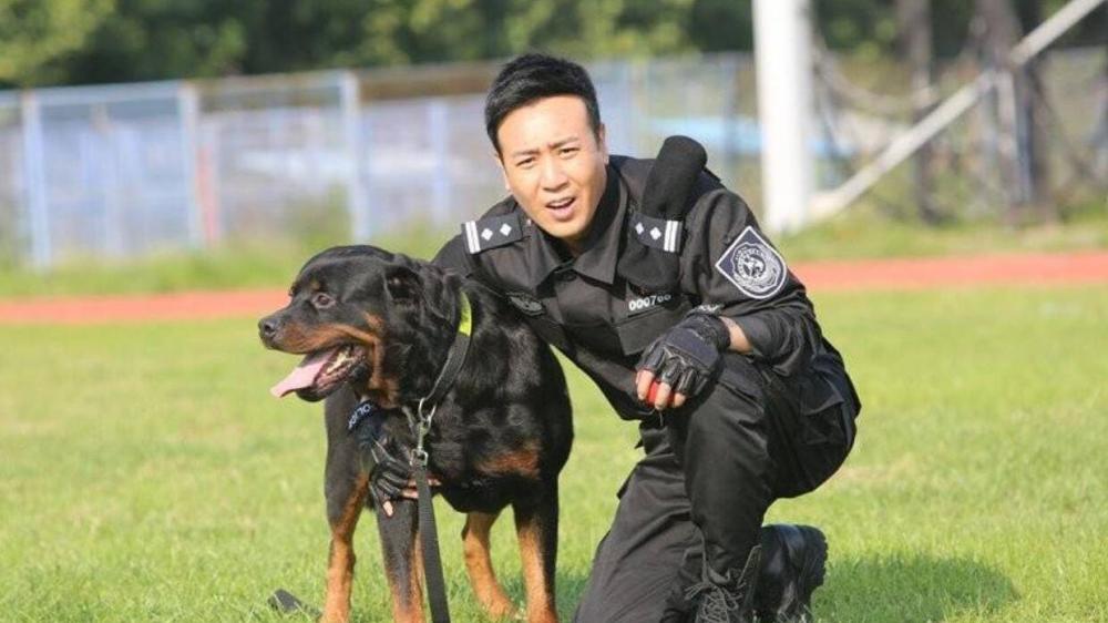 《警花与警犬2》将袭,于和伟,侯梦莎再续前缘,剧情全面升级