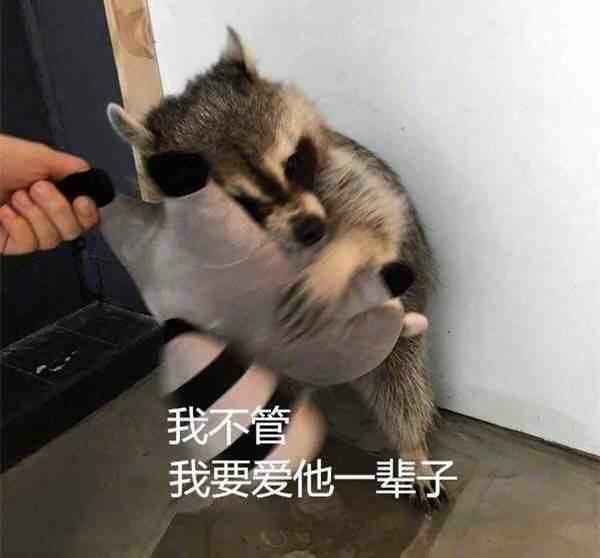 表情包|放心吧 交给我一定会搞砸