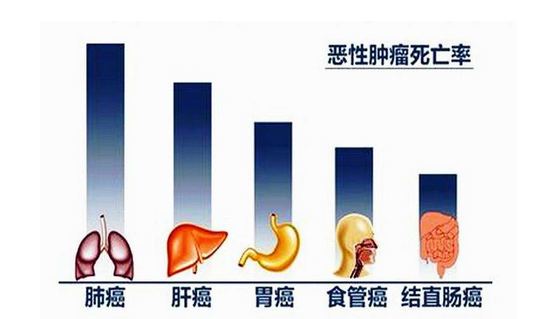 全世界新发肝癌一半在中国,如何来预防?注意5个饮食禁忌