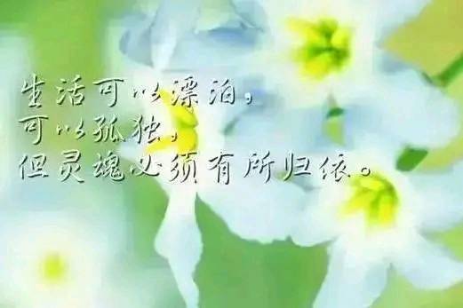 朋友圈很火的心情语录短句,霸气又有杀气!