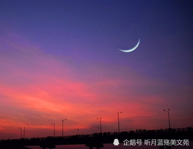 爱过你真的不后悔简谱_爱过你真的不后悔