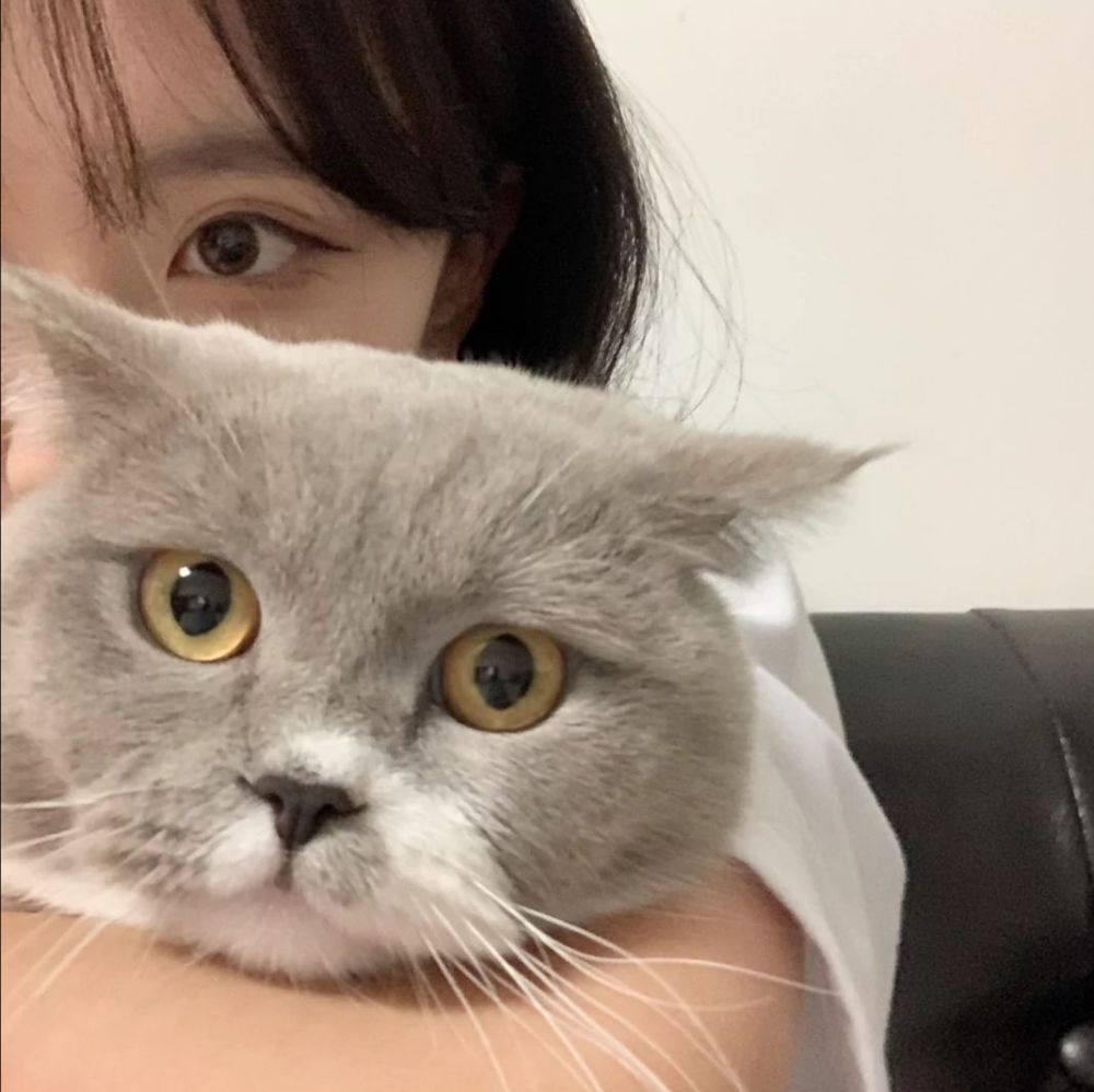 女生头像猫猫狗狗