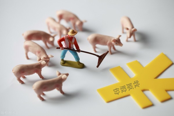 牧原股份屡创新高,貌似已打破猪周期的束缚,三五年内