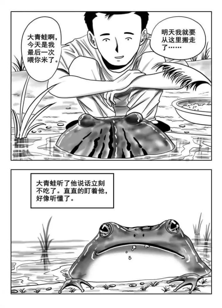 人性恐怖漫画大青蛙有情有义的动物