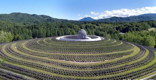 世界上最"害羞"的佛像,建在墓地里,始终只露出半个头|佛像|大佛