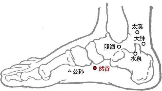 勤动4处: 1,脚部,然谷穴