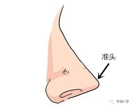 准头左边称兰台,准头右边称廷慰,这两个部位代表的是守财和聚财能力