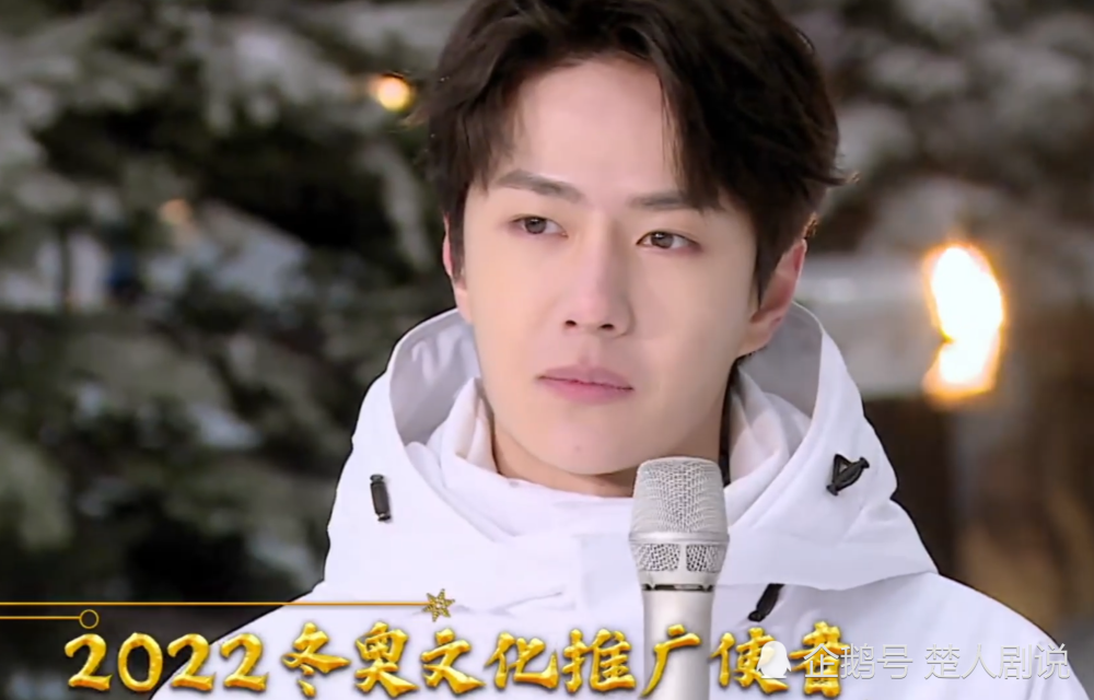 2022年(北京)冬奥文化推广大使:王一博