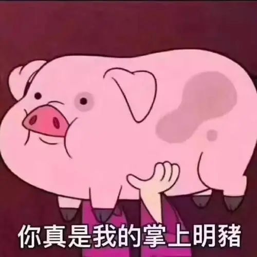 怼人合辑81摇摇猪表情包一只粉色小猪