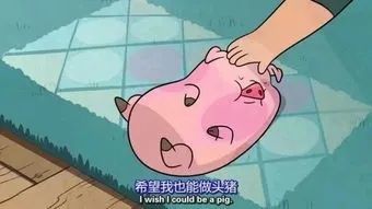 体重和原本的名字一样是十五磅,后起名"waddles"(摇摇),"他叫摇摇