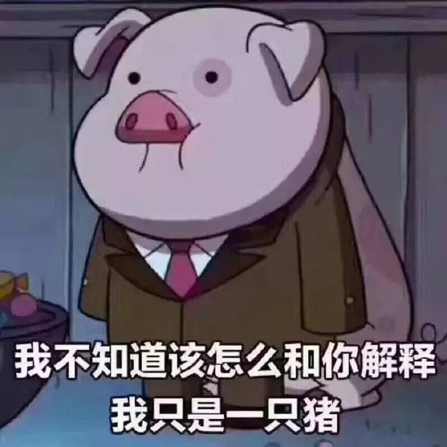 【怼人合辑8.1】摇摇猪表情包|一只粉色小猪