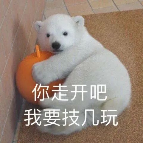 表情包无情嘲笑