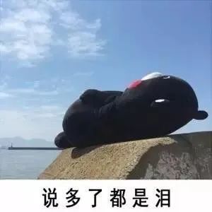 表情包:说多了都是泪