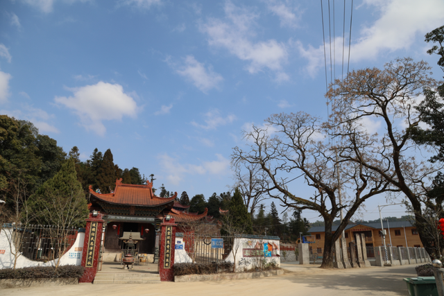 罗源林家村:结庐何须在人境,别有天地非人间