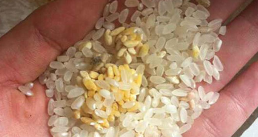 别以为做熟了就能放松警惕,变质的大米是最容易产生黄曲霉毒素的!