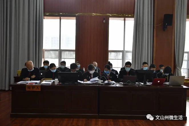 文山14名被告人涉及6项罪名