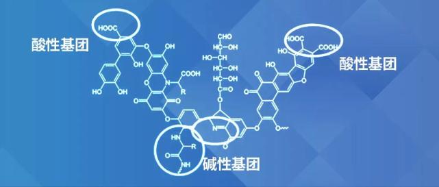 机大分子化合物的混合物,广泛存在于自然界中,土壤中腐植酸的比例最大