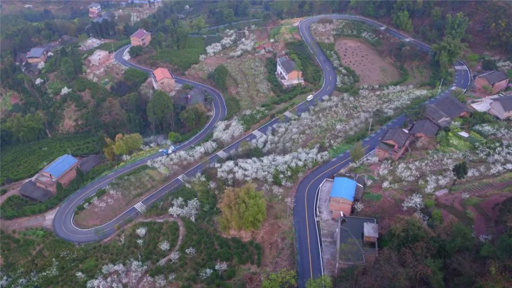 屏山县大乘镇双峰通村道路